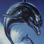 Ecco the Dolphin&hellip;
